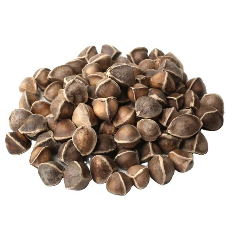 Moringa Seeds