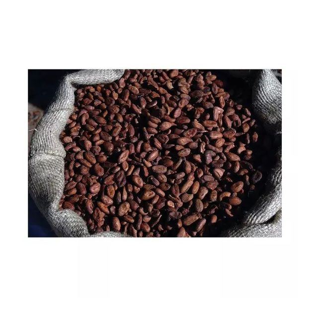 Natural Cocoa – Intense & Authentic Flavor