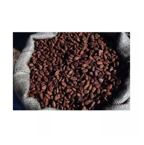 Natural Cocoa – Intense & Authentic Flavor