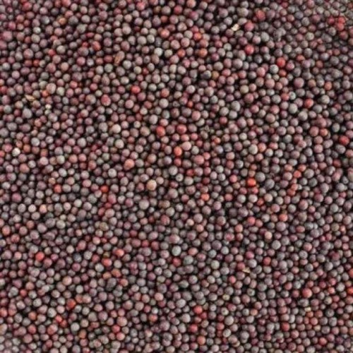 Mustard Seeds