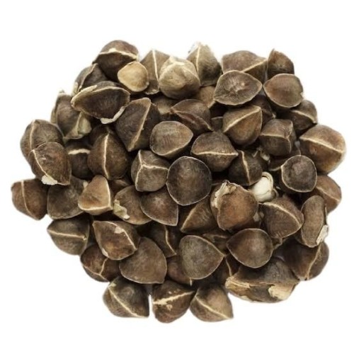 Moringa Seeds